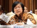 Menteri LHK Soroti Masalah Tailing Freeport di Papua