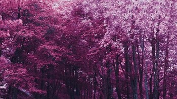 Belum bisa ke Jepang, lokasi objek fotonya pun kebanyakan di Italia di antaranya Florence, Venice, Roma, dan Milan. (Foto: Instagram)