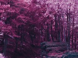 Karya Unik Fotografer Fans Berat Anime Jepang