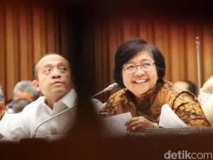 Cerita Menteri LHK Begadang Bereskan Masalah Freeport