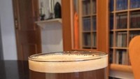 Secangkir latte terlihat menggiurkan dengan tampilan layer kopi dan susu yang nampak jelas. Foto: Istimewa