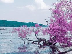 Karya Unik Fotografer Fans Berat Anime Jepang