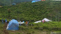 Tenda-tenda didirikan di Kampung Cita Lahap, Desa Malasari, Bogor. Perkebunan teh ini berbatasan langsung dengan Kabupaten Sukabumi, Jawa Barat.