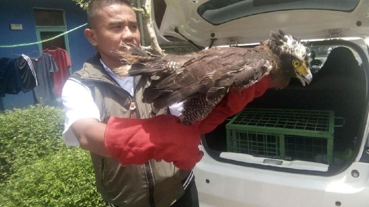 Uyda yalangoch onalarning fotosuratlari Engels jinsiy bosh vaqt