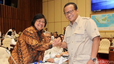 Menteri LHK-DPR Bahas Orangutan yang Ditembak dan Dipenggal di Kalteng