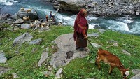 Suhu yang super dingin, hujan salju sampai udara yang tipis bakal terasa selama perjalana. Operator tur yang menawarkan perjalanan ke Bara Bangal di antaranya, Red Chilli Adventure, Himalayan Challenges dan Himalaya Discovery (Sankar Sridhar/CNN Travel)