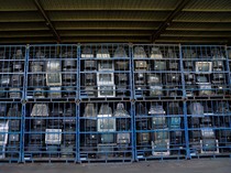 AI Dipredikasi Hasilkan Jutaan Ton Sampah Elektronik, Ilmuwan Beri Peringatan