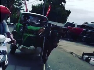 Ada Trungtung Ditarik Kuda, Polisi Bilang Keren