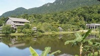 Sedangkan di bulan Juli, negara tetangga Malaysia akan menggelar Rainforest World Music Festival di Sarawak. Selama tiga hari dari 13-15 Juli 2018, kamu bisa merasakan keseruan musik (Getty Images)