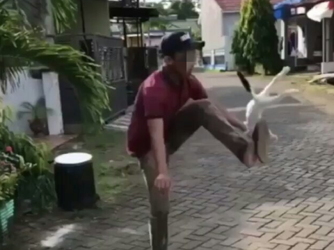 Viral Video Kucing Ditendang-tendang Bak Bola di Makassar