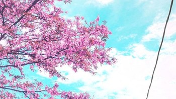 Karena itulah, ia membuat deretan foto-fotonya bertemakan anime Jepang. (Foto: Instagram)