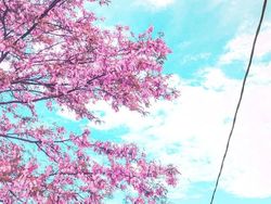 Karya Unik Fotografer Fans Berat Anime Jepang