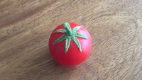 Bukan cuma soal warna, seorang netizen pernah mendapati tomatnya bulat sempurna. Apalagi warna merahnya juga cantik. Foto: Istimewa