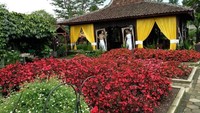 Hanya dengan Rp 20 ribu, pengunjung bisa berfoto sepuasnya dengan latar kebun bunga yang indah dan berwarna-warni. Murah bukan? (Elvina Hardiani/dTraveler)