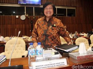 KLHK Targetkan Penanaman Pohon Seluas 230 Ribu Hektare di 2019