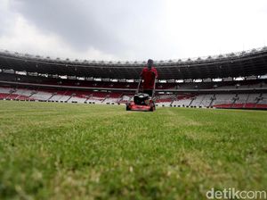 Di Piala AFF, GBK Pertahankan Rumput Ini