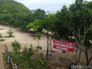 Kelola Wisata Pantai Selatan, Perhutani Target Pendapatan 44 Miliar