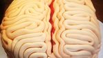 10 Kue Berbentuk Organ Tubuh Manusia, Mulai dari Otak hingga Jantung
