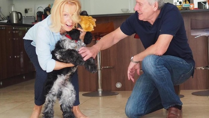 Unik, Traveler Ini Keliling Dunia Jadi Penjaga Rumah