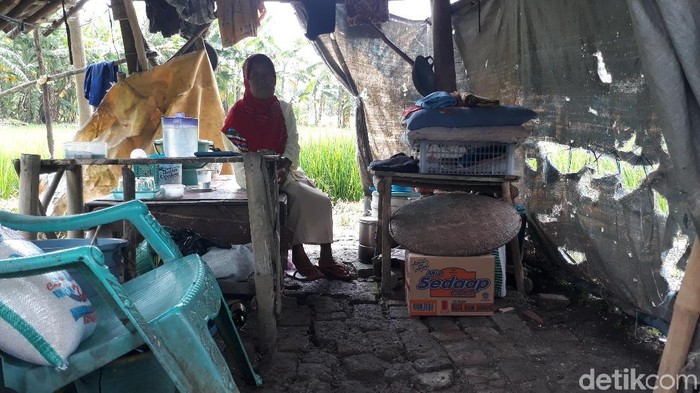Nenek Fatonah hiduo di gubuk sawah di Brebes, Kamis (25/1/2018).