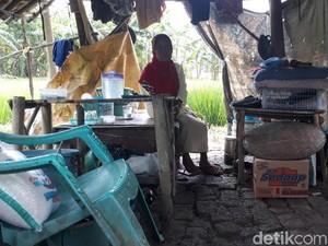 Nenek Fatonah Tinggal Seorang Diri di Gubuk Tengah Sawah di Brebes