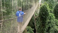 Di atas ketinggian 39 meter, kanopi yang digunakan untuk pejalan kaki di Ghana menyajikan pemandangan indah berupa pepohonan hijau. List25.com/Istimewa.
