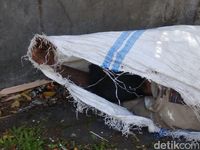 Dikira Korban Pembunuhan, Gelandangan di Bandung Ini Bikin Kaget