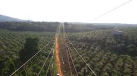  PLN Operasikan Transmisi dan Gardu Induk Listrik di Sanggau