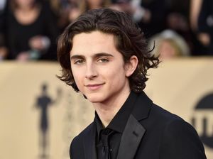 Gaya Timothee Chalamet hingga Chadwick Boseman di Red Carpet Oscar 2018