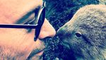 Foto: Santai di Australia Kayak Hugh Jackman