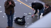 Dilansir CNN, Jumat (26/1/2018), hujan duit itu terjadi saat uang-uang yang dibawa sebuah mobil yang mengalami kecelakaan, berhamburan di jalan tol tersebut
