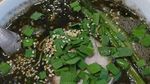 8 Racikan Ramen Jepang yang Bikin Badan Hangat dan Perut Kenyang Malam Ini