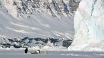 Foto: Bisa Main Ski di Pantai Ini
