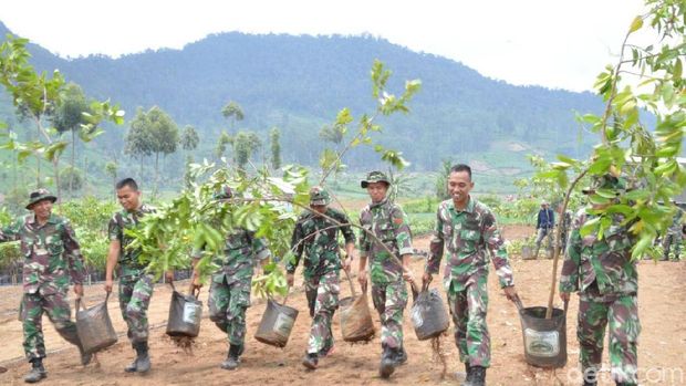 penanaman pohon