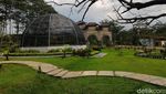 Foto: Ini Dia Kebun Rayanya Boyolali