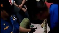 Foto: Jadi ular dalam keadaan tenang, karena baru saja memangsa kucing jadi tidak ada kesulitan. Kami berhasil menjinakan ular itu sekitar dua puluh menit, tutur Danton Dua Damkar Makassar, Andi Muhammad Anugrah.Dok. Istimewa`