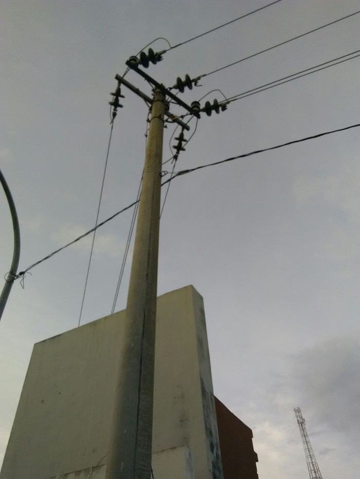 Listrik 2 Desa di Pekalongan Padam karena Seekor Ayam