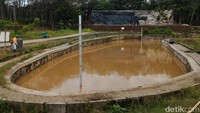 Gelontoran anggaran terus ditambah setiap tahun dengan target Kebun Raya ini dapat diluncurkan pada tahun 2019 (Ragil Ajiyanto/detikTravel)