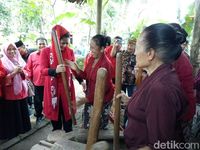 Melihat Puti Guntur Menari Bersama Gandrung Banyuwangi 