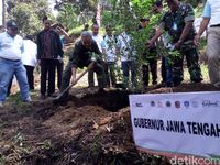 Toyota Sulap Lereng Lawu Karanganyar Jadi Taman Sakura