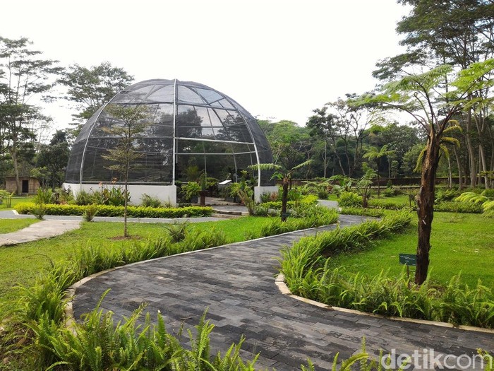 kebun raya