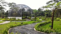 Pada hari Sabtu dan Minggu pengunjung yang datang bisa mencapai ratusan orang (Ragil Ajiyanto/detikTravel)