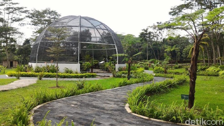 Foto: Kebun Raya Indrokilo di Boyolali (Ragil Ajiyanto/detikTravel) Foto: Kebun Raya Indrokilo di Boyolali (Ragil Ajiyanto/detikTravel)