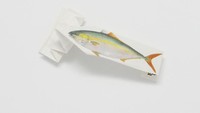 Nah yang ini origami dengan highlight gambar ikan. Berasal dari pengunjung restoran sushi Saitama. Foto: Istimewa/Yuki Tatsumi