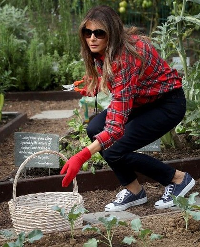 Gaya Melania Trump kembali jadi kontroversi saat menjadi tuan rumah acara berkebun di Gedung Putih, Jumat (22/9/2017). Memakai kemeja tartan keluaran Balmain seharga Rp 18 juta, penampilan Melania dianggap terlalu mewah untuk acara yang merakyat seperti berkebun. Foto: Getty Images