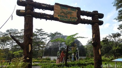 Foto: Ini Dia Kebun Rayanya Boyolali
