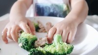 Sekala yang merupakan anak dari Ditto dan Ayudia ini ternyata sangat menyukai sayuran ya. Dia terlihat sedang asyik menikmati brokoli. Foto: Istimewa