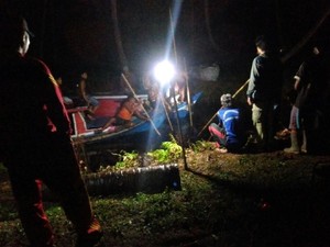 Duduk di Tepi Kanal, Tulus Tewas Diterkam Buaya di Inhil Riau