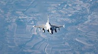 Jet ini dirancang di China dan dirakit di Pakistan (Foto: Dok. defence.pk)