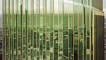 Bikin Melongo, Taiwan Bakal Punya Pohon Bambu Setinggi 280 Meter